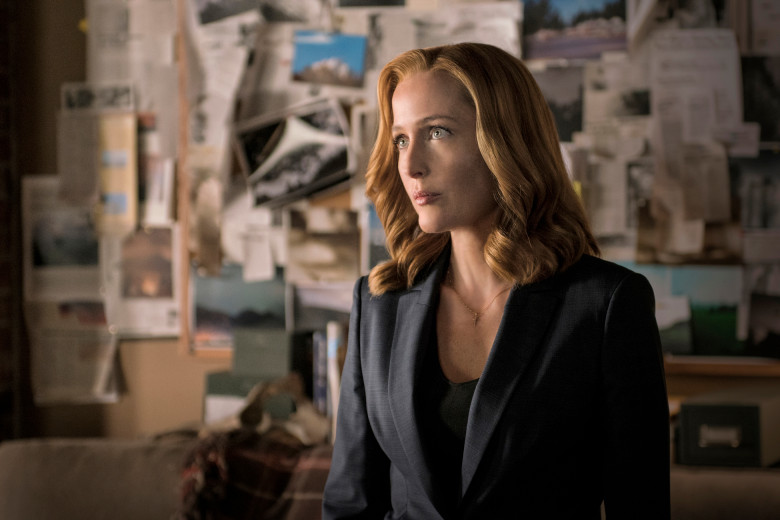 The X-Files / Gillian Anderson