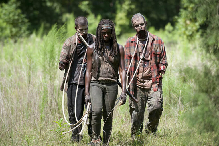 The Walking Dead / Danai Gurira (Michonne)