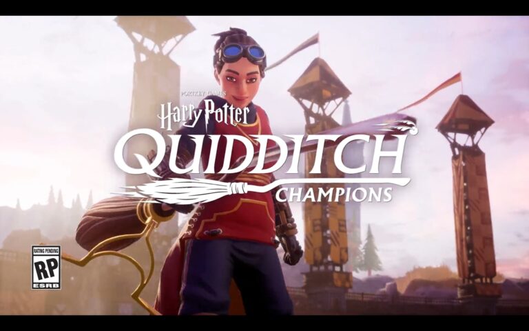 Harry Potter Quidditch Champsion