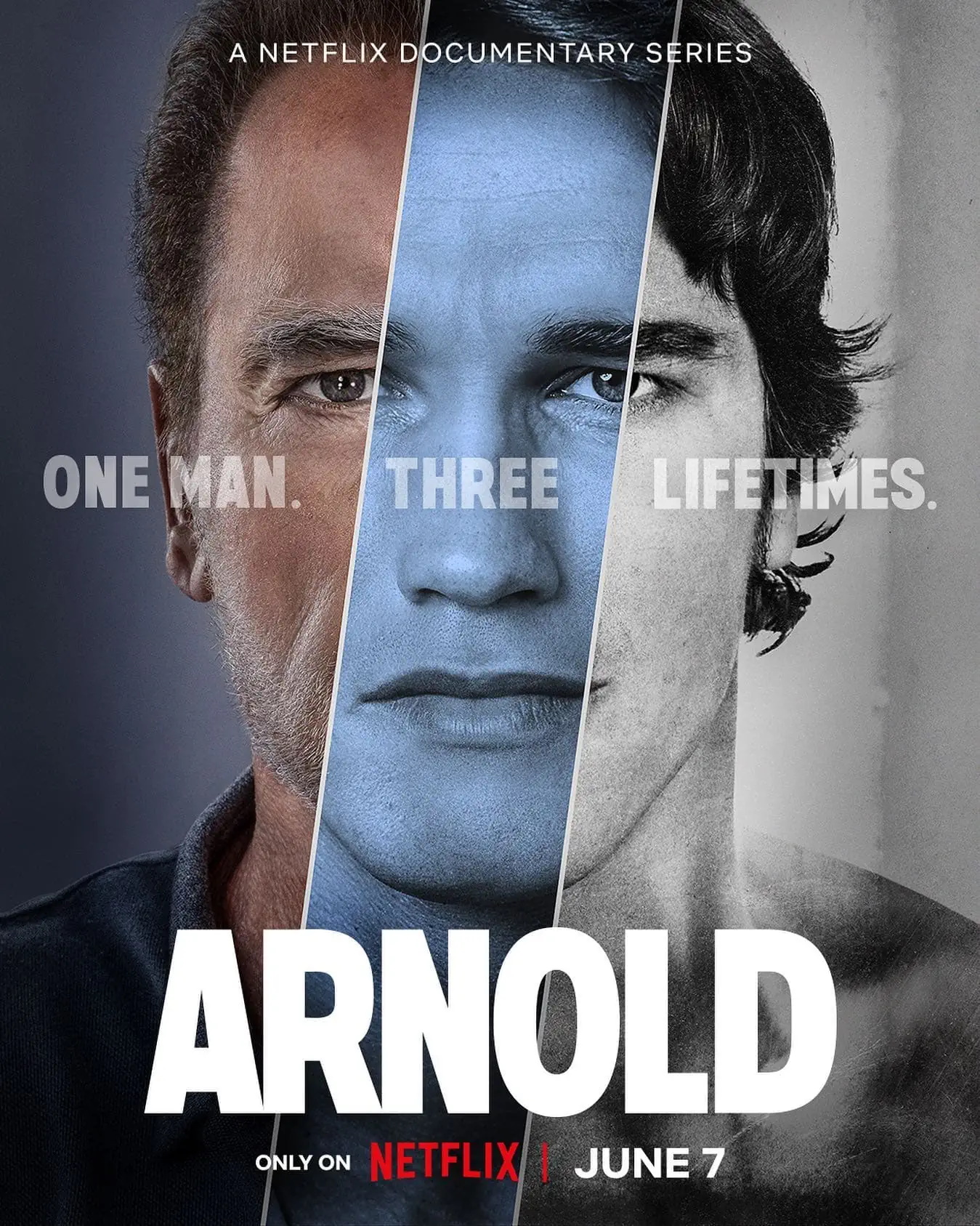 The Arnold Documentary