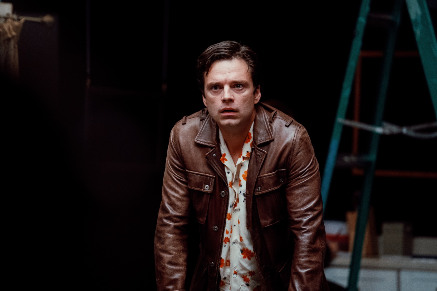 A Different Man / Sebastian Stan